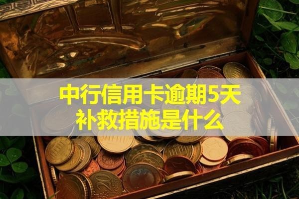 中行信用卡逾期5天