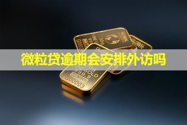 微粒贷逾期会安排外访吗
