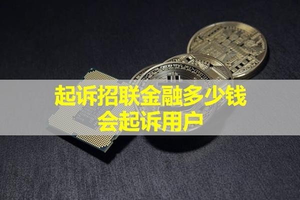 起诉招联金融多少钱