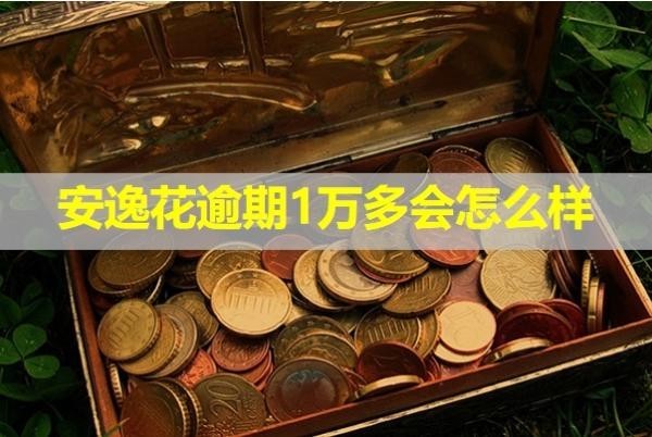 安逸花逾期1万多会怎么样