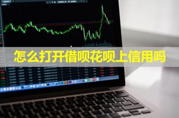 怎么打开借呗花呗上信用