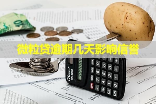 微粒贷逾期几天影响信誉