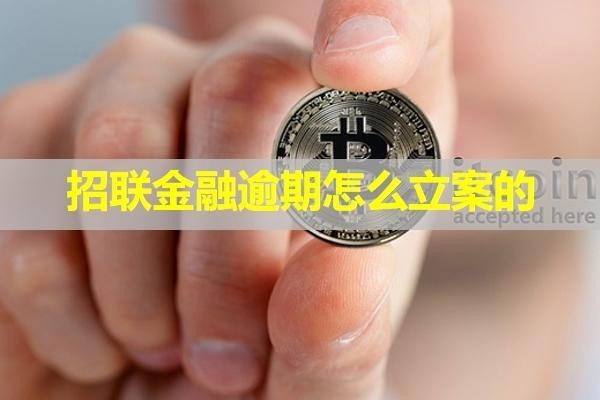 招联金融逾期怎么立案的