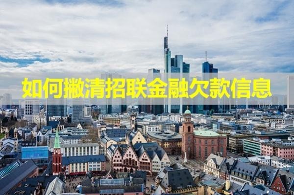 如何撇清招联金融欠款信息