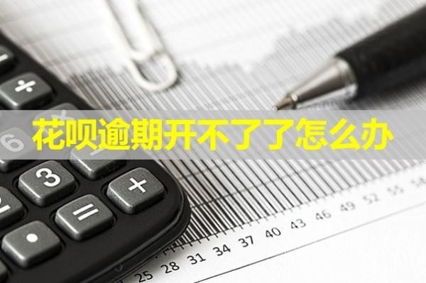 花呗逾期开不了了怎么办