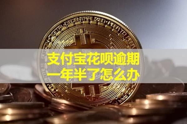 支付宝花呗逾期一年半了怎么办