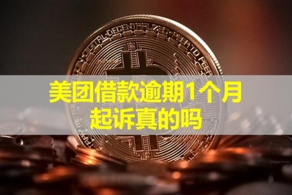 美团借款逾期1个月起诉