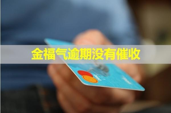 金福气逾期没有催收