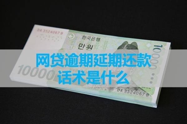 网贷逾期延期还款话术