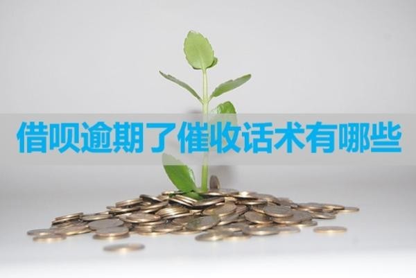 借呗逾期了催收话术