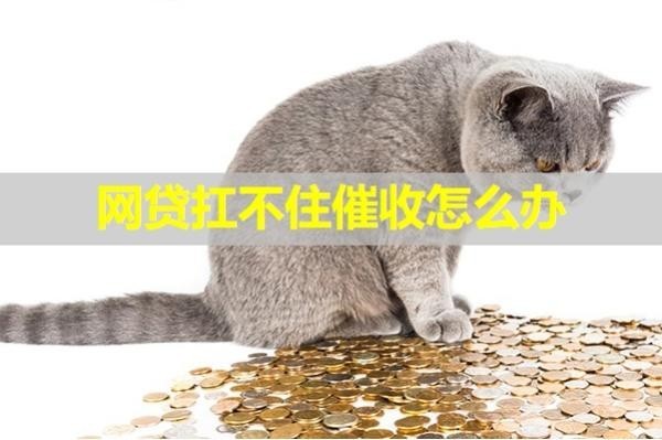 网贷扛不住催收