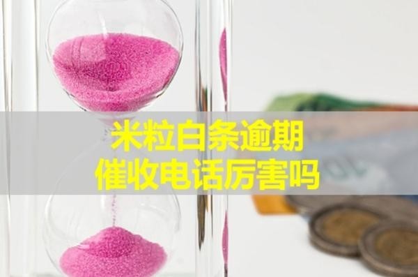 米粒白条逾期催收电话