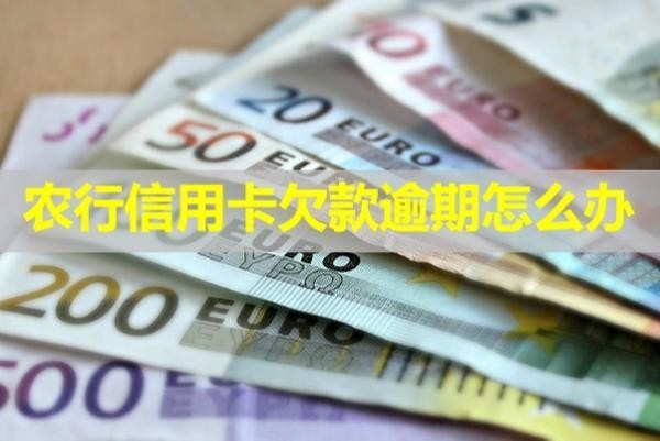 农行信用卡欠款逾期怎么办