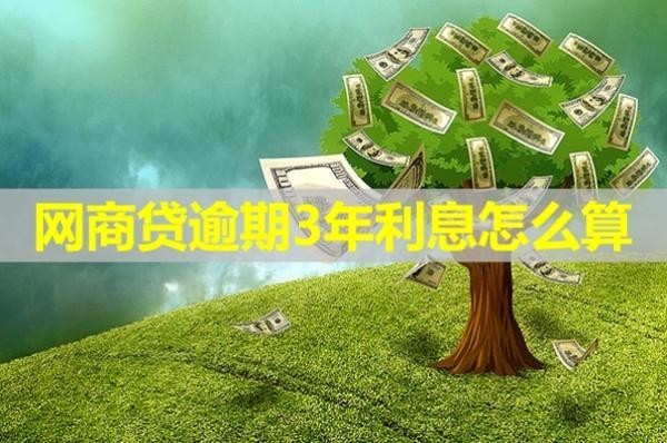网商贷逾期3年利息怎么算？详细解析
