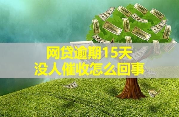 逾期15天没人催收