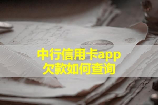 中行信用卡app欠款