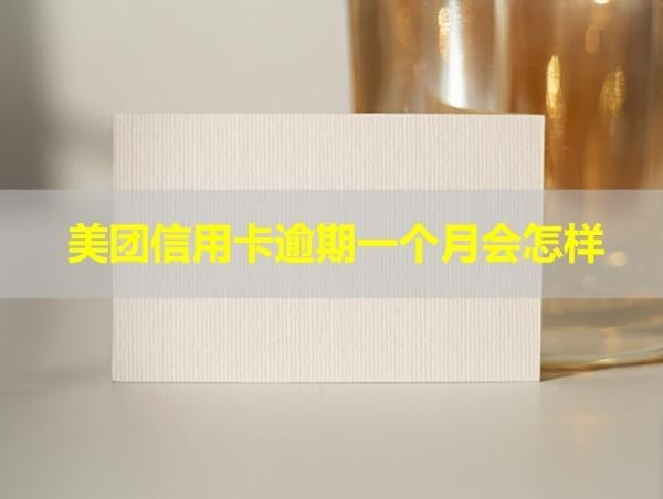 美团信用卡逾期一个月会怎样