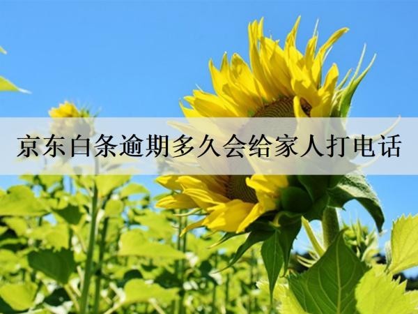 京东白条逾期多久会给家人打电话