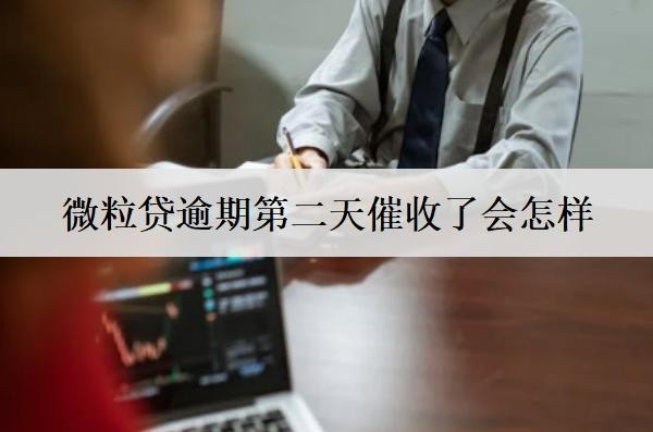 微粒贷逾期第二天催收了
