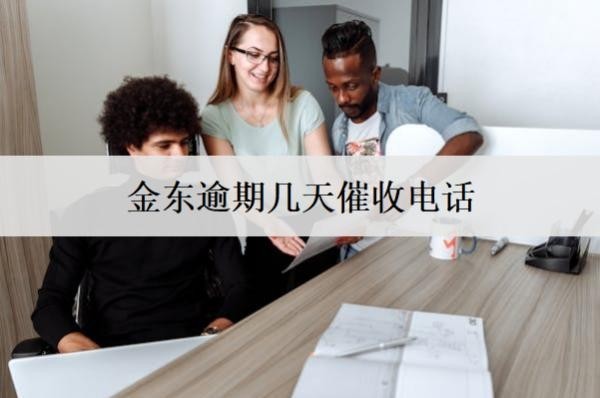 京东逾期几天催收电话？借款如何避免逾期还款？