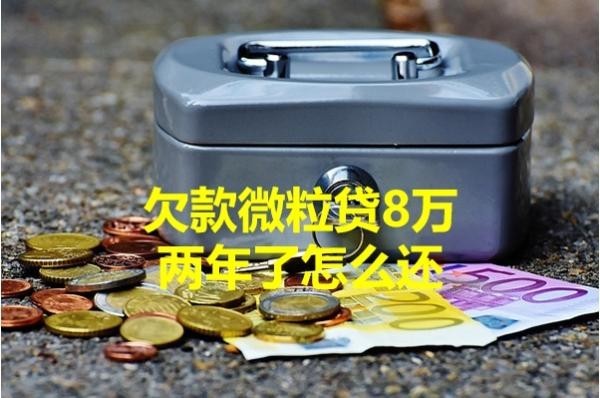 欠款微粒贷8万两年了