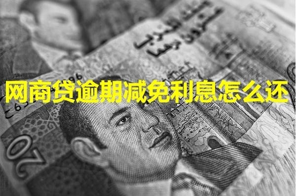网商贷逾期减免利息怎么还