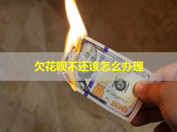 欠花呗不还该怎么办理