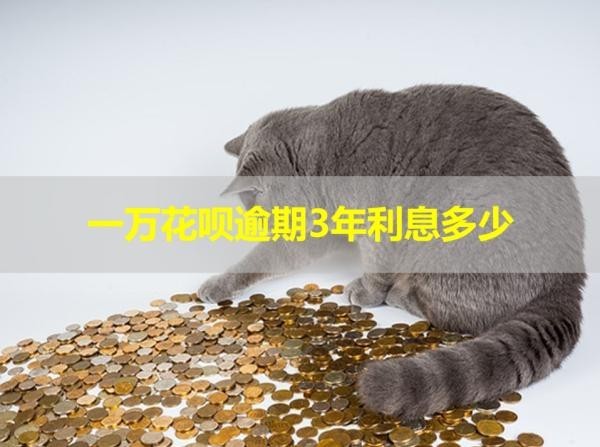 一万花呗逾期3年利息多少