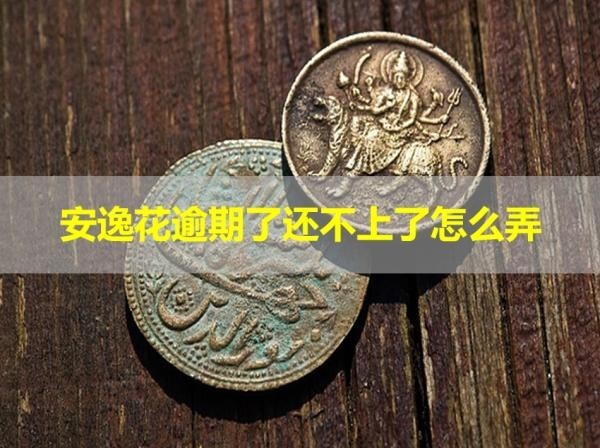 安逸花逾期了还不上了怎么弄