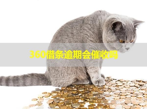 平台逾期会催收吗