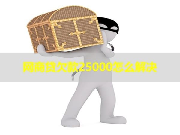 网商贷欠款25000怎么解决