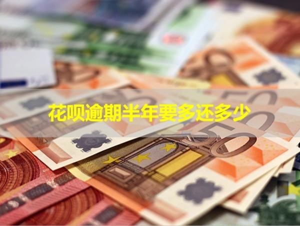 花呗逾期半年要多还多少