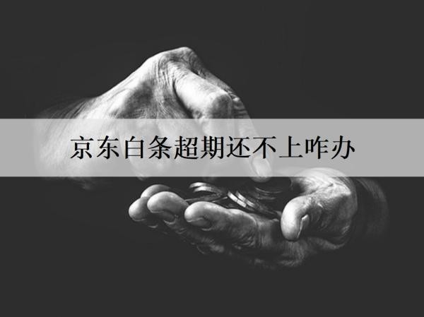 京东白条超期还不上咋办
