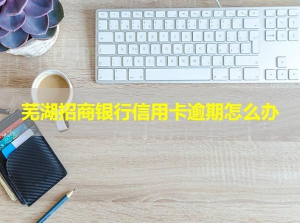 芜湖招商银行信用卡逾期