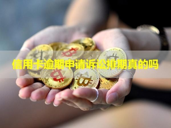 信用卡逾期申请诉讼排期