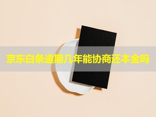 京东白条逾期几年能协商还本金吗