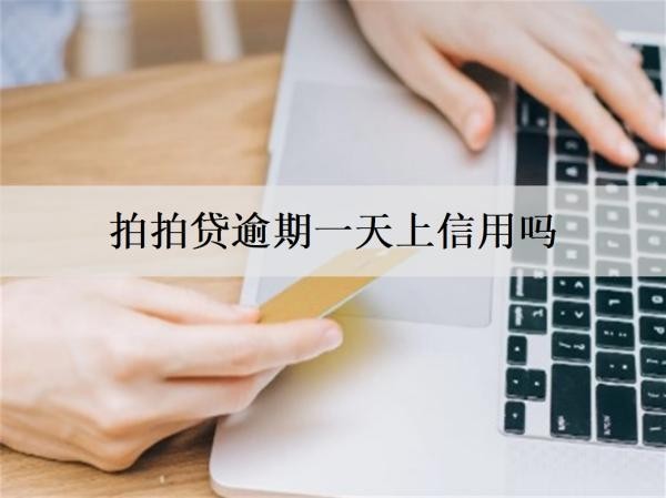 拍拍贷逾期一天
