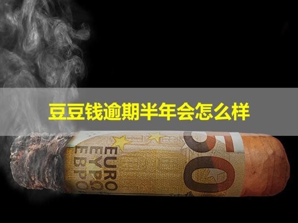 豆豆钱逾期半年会怎么样