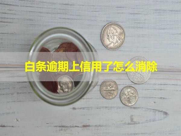 白条逾期上信用了怎么消除