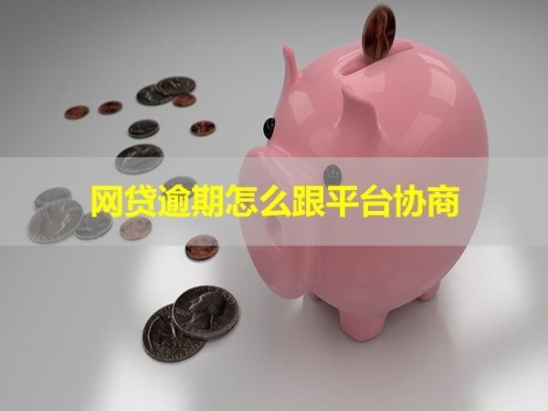 网贷逾期怎么跟平台协商