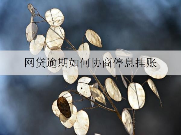 网贷逾期如何协商