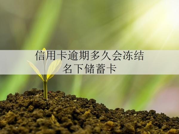 信用卡逾期多久会冻结名下储蓄卡