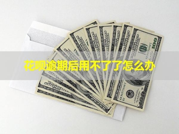 花呗逾期后用不了了怎么办