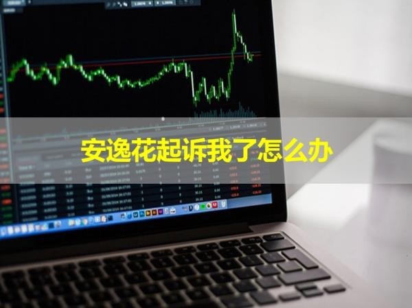 安逸花起诉我了怎么办