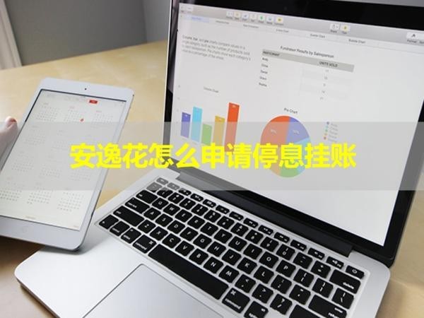 安逸花怎么申请停息挂账