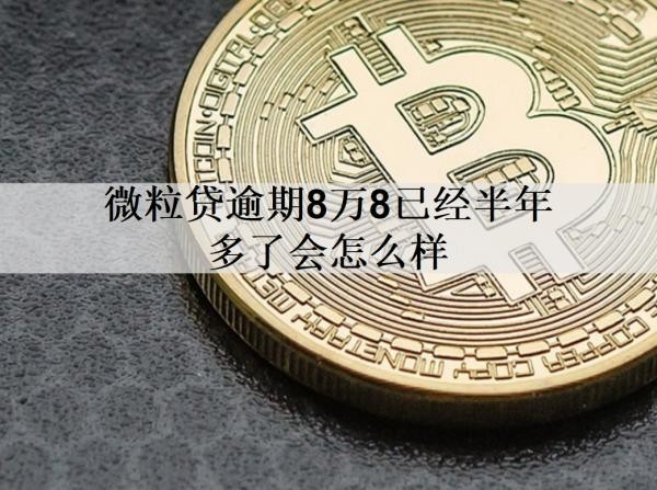 微粒贷逾期8万8已经半年多了
