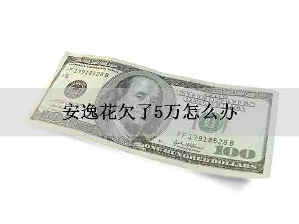 安逸花欠了5万怎么办