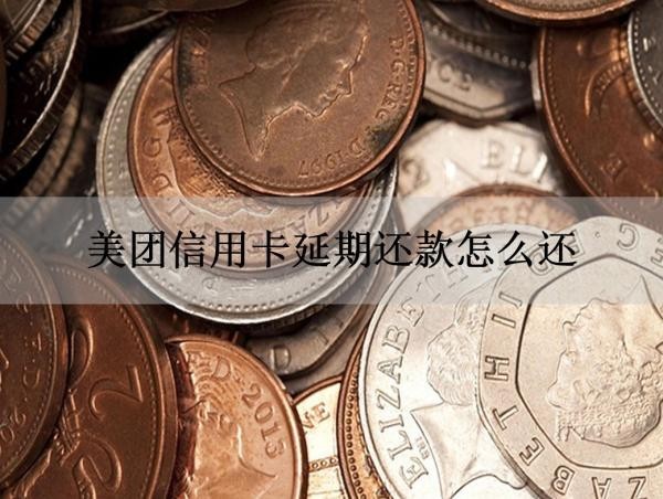 美团信用卡延期还款怎么还
