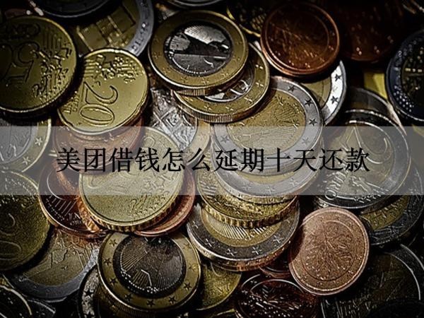 美团借钱怎么延期十天还款