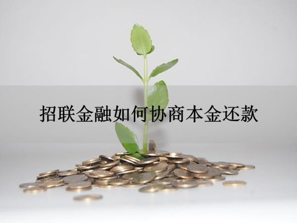 招联金融如何协商本金还款